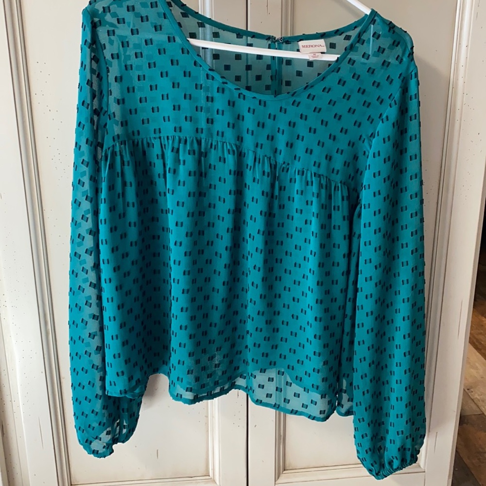 NWOT sheer green blouse with black detail